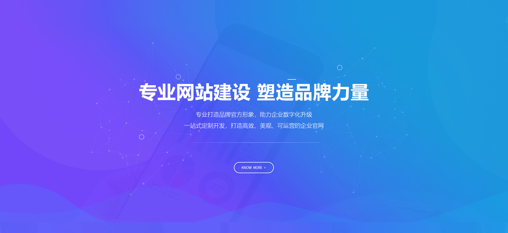 阿坝建站-专业网站建设 塑造品牌力量