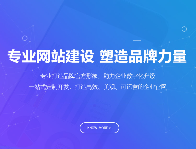 阿坝建站-专业网站建设 塑造品牌力量